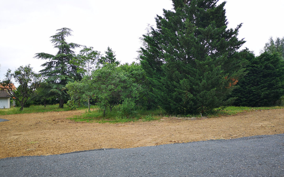 SAVIGNEUX – Terrain de 770 m² viabilisé