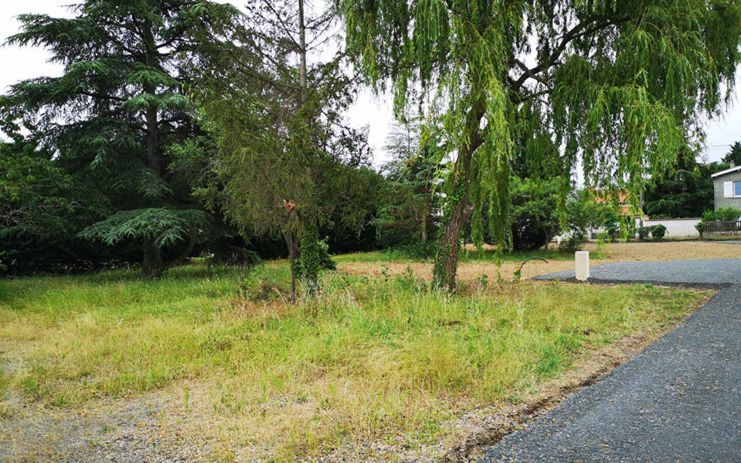 SAVIGNEUX – Terrain de 760 m² viabilisé