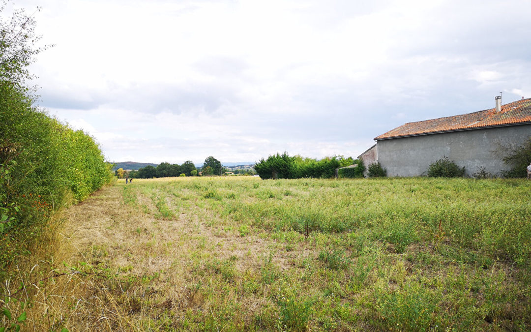 MARCILLY LE CHATEL – Terrain constructible viabilisé 1 485 m²