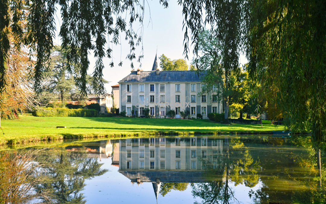 Sury-Le-Comtal CHÂTEAU DE CHARME, MAISON DE GARDIEN, DÉPENDANCES, PARC PRIVÉ DE 5 HECTARES